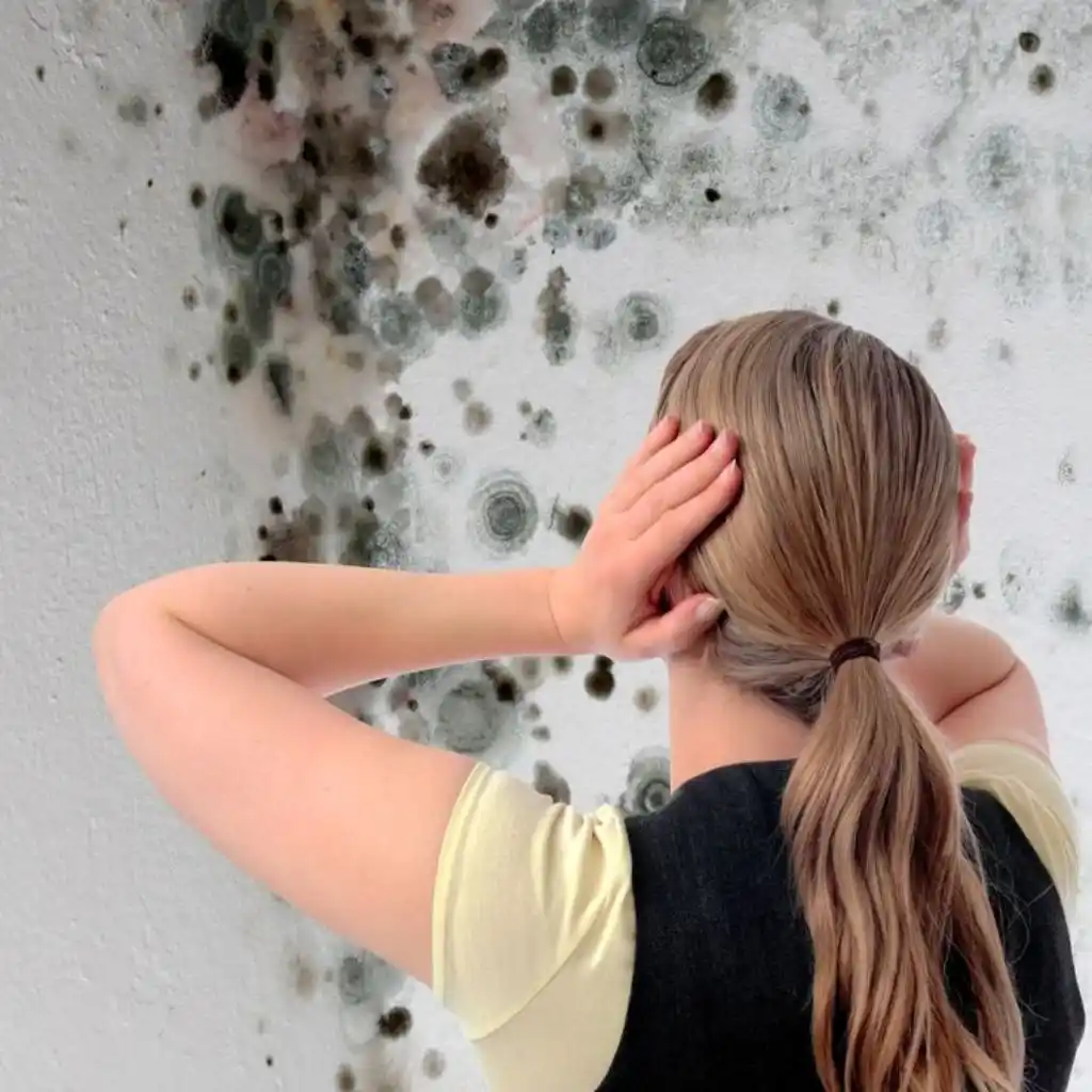 Comment enlever la moisissure sur les murs? Paris Smart Clean