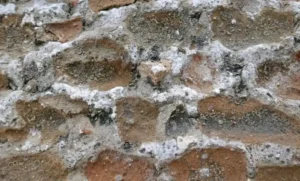 Comment éliminer le salpêtre sur un mur intérieur - TravauxBretagne