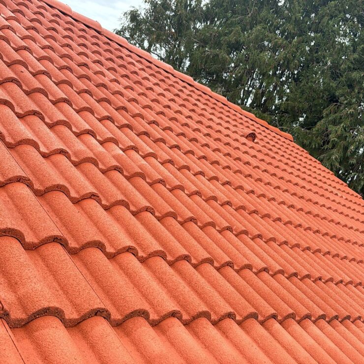 Traitement hydrofuge coloré Toiture Rezé