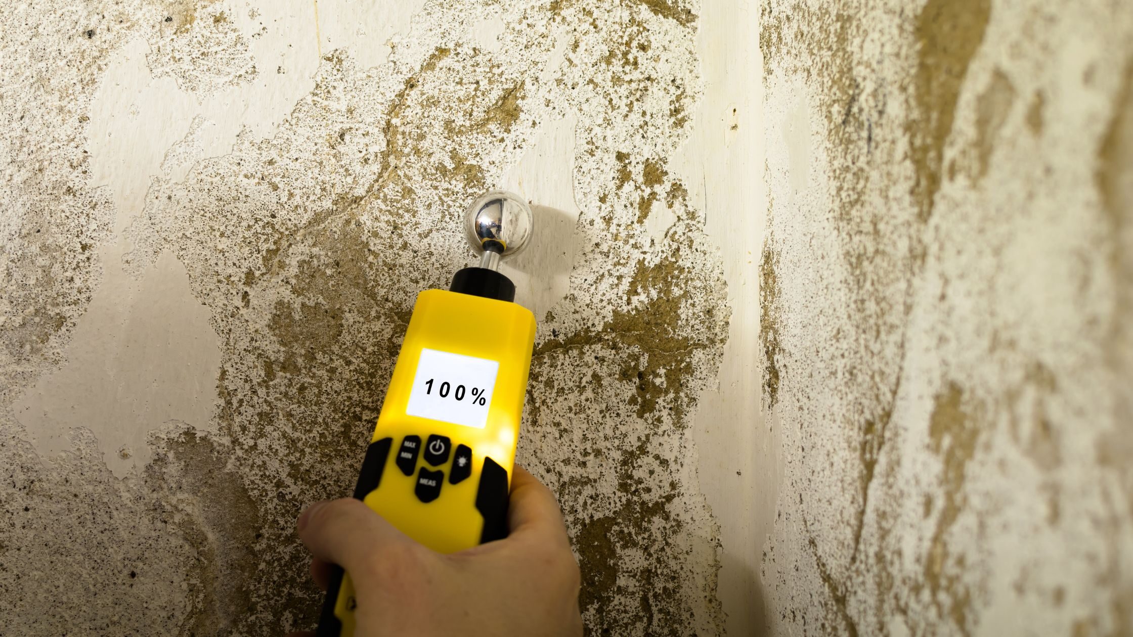 Diagnostic Humidité Maison - Hygromètre - Moisissure murs