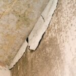 Maison humide : quand faire appel à un professionnel ?