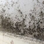Quels matériaux choisir pour rénover une maison humide ? 