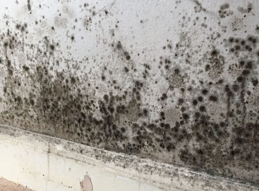 Maison Humide que faire