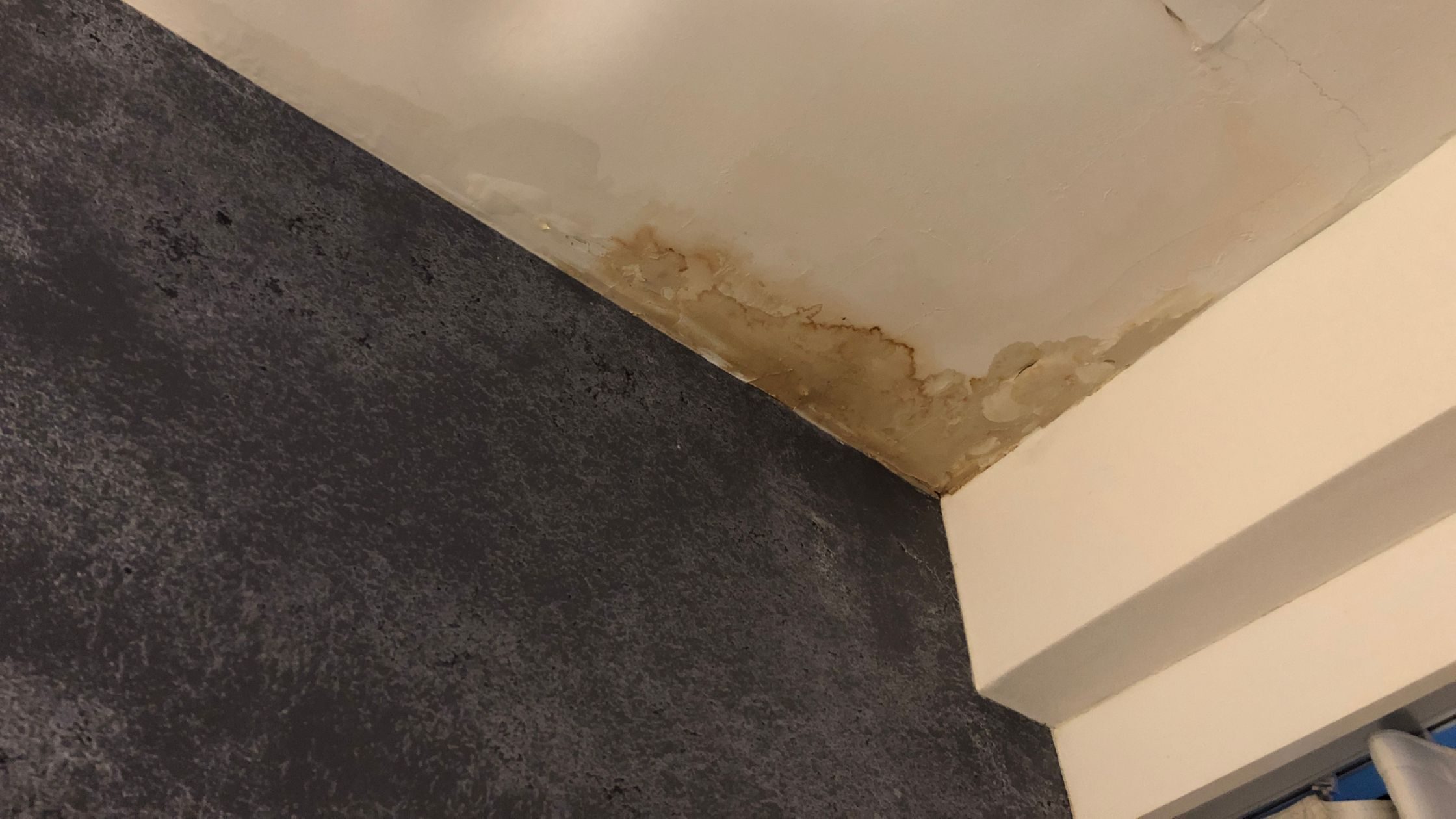 infiltration toiture - moisissures plafond