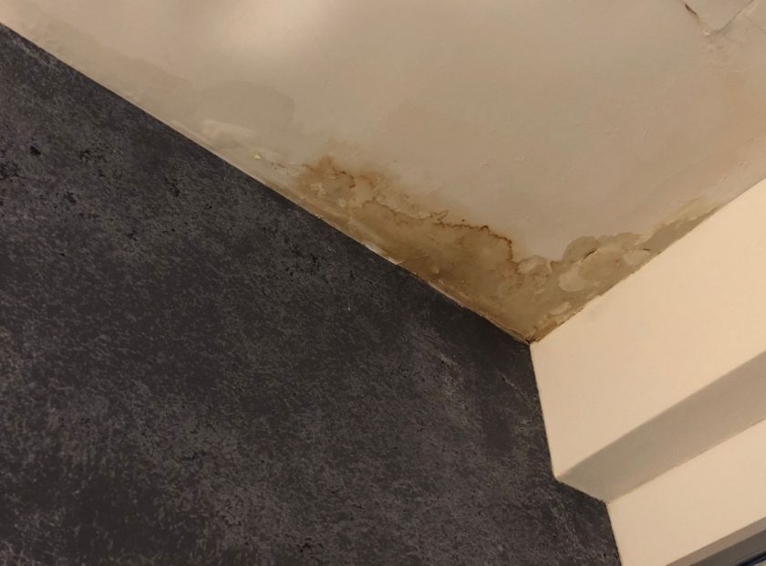 infiltration toiture - moisissures plafond
